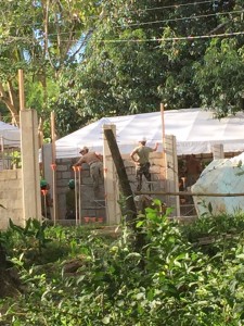 12202076_10153686561141240_1993654626_n